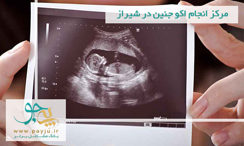 مرکز انجام اکو جنین در شیراز - متخصص اکو سلامت قلب جنین 