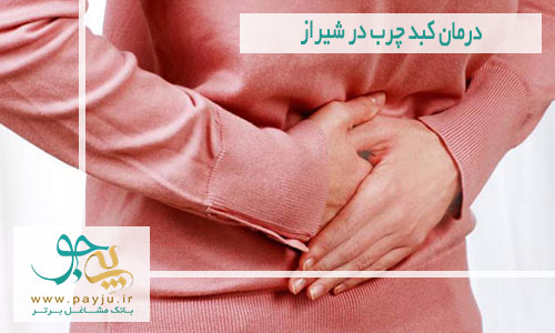 درمان کبد چرب در شیراز