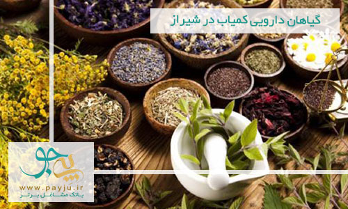 گیاهان دارویی کمیاب در شیراز