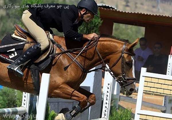 باشگاه های سوارکاری شیراز باشگاه های سوارکاری شیراز